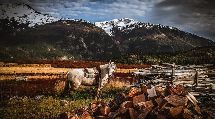 Estancia La Península 