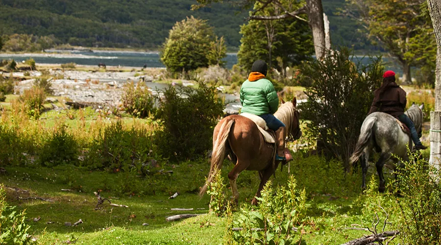 Estancia Pingo Salvaje<br> Laguna Sofía 