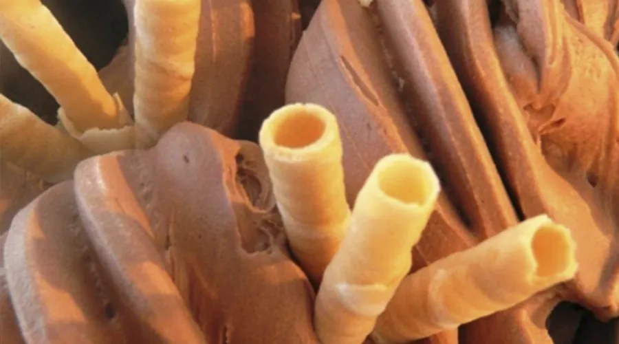 Heladería artesanal Aluén 