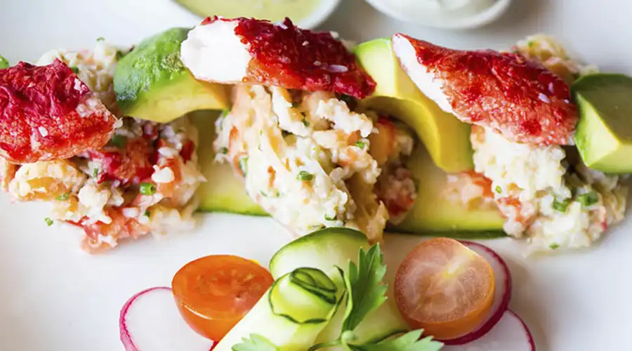 Cormoran de las rocas