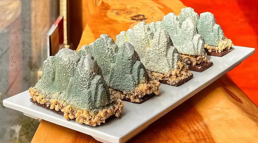 Adventure Cactus Coffee